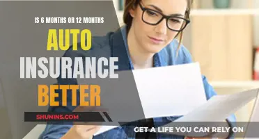 Auto Insurance: 6 or 12 Months, Which is Better?