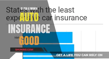 Auto Insurance: Is $750 Monthly Premium Worth It?