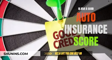 Auto Insurance Score: Is 858 a Good Rating?