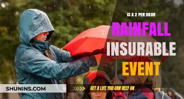 Is 2 Inches of Rain per Hour an Insurable Event?
