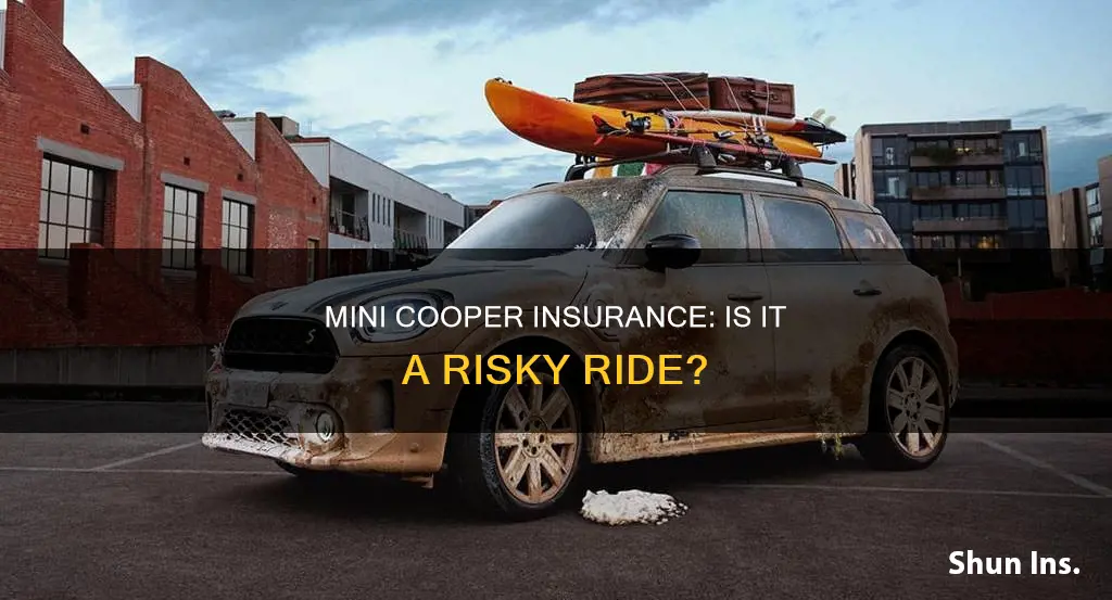 is a 2010 mini cooper a high insurance risk