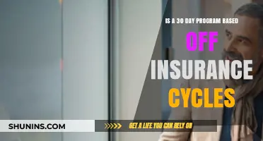 Insurance Cycle-Based 30-Day Programs: Effective or Just a Trend?