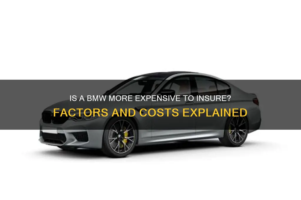 is a bmw more to insure