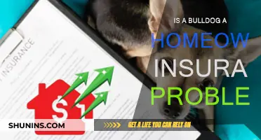 Bulldog Owners: Home Insurance Woes?