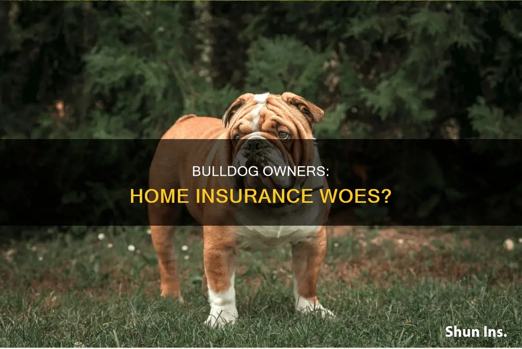 is a bulldog a homeowners insurance problem