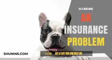 Bulldogs and Insurance: Understanding Potential Coverage Challenges for Owners