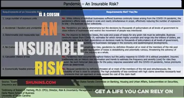Understanding Insurance: Are Cousins Insurable Risks?