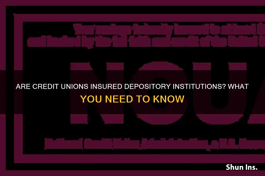 is a credit union an insured depository institution