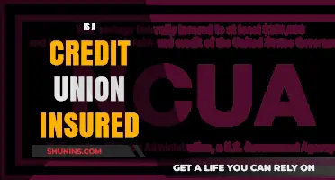 Are Credit Unions Insured? Understanding Your Deposit Protection