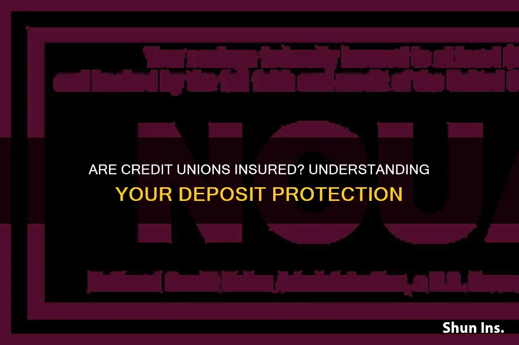is a credit union insured