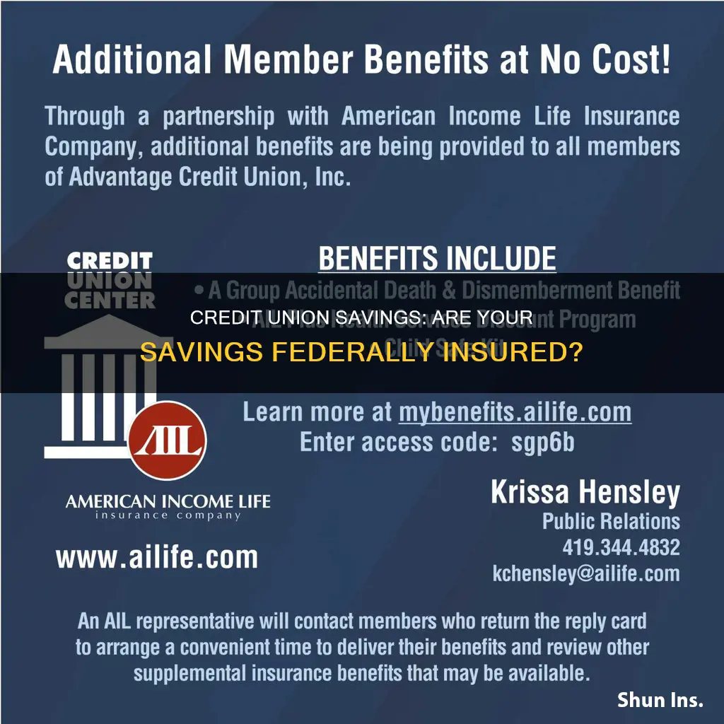 is a credit union savings account federally insured