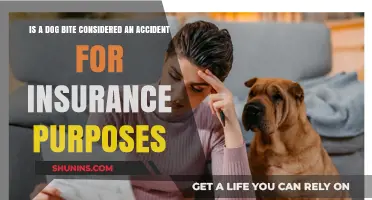 Dog Bites: Are They Insured Accidents?