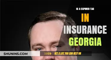 Expired Insurance Tag in Georgia: Consequences and Renewal Process Explained