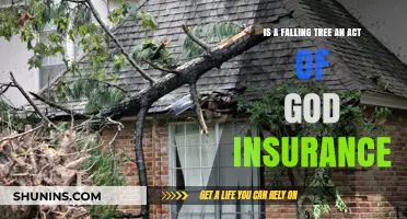 Is a Falling Tree an Act of God for Insurance Claims?