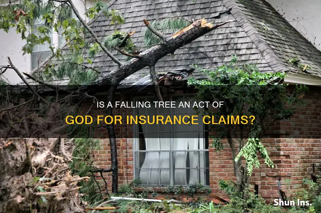 is a falling tree an act of god insurance