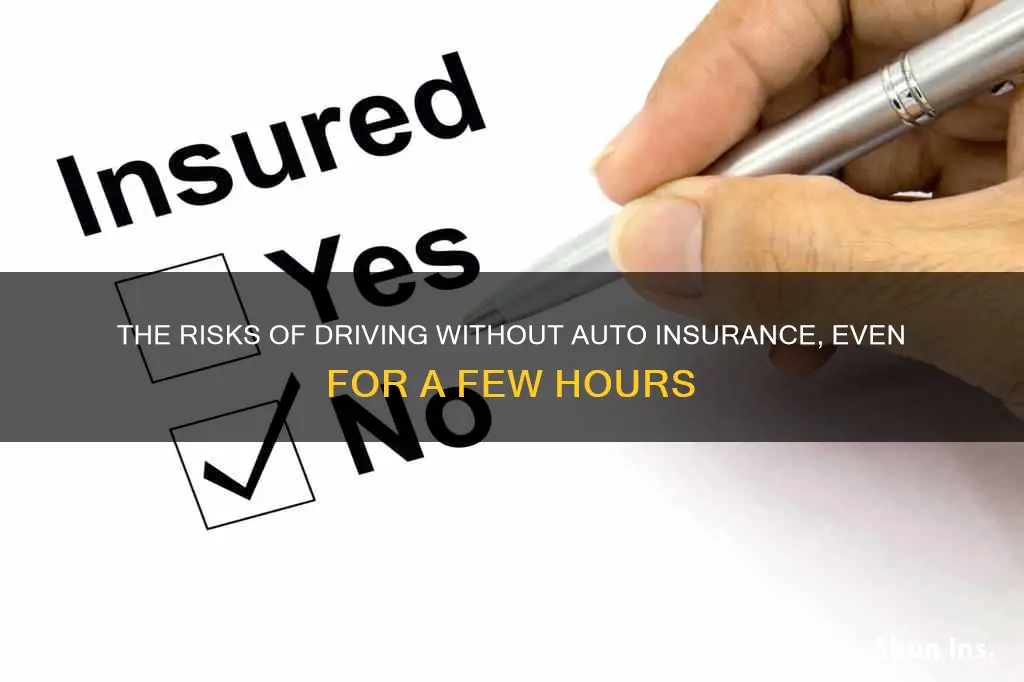 is a few hours without auto insurance