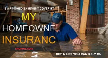 Basement Blues: Is My Home Insurance Enough?