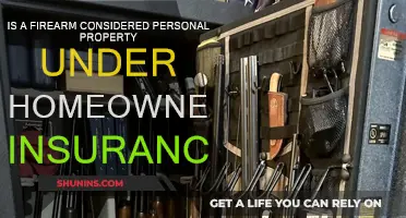 Firearm Coverage: Understanding Home Insurance Policies