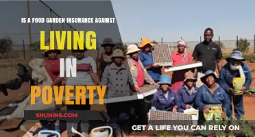 Can Growing Your Own Food Prevent Poverty? Exploring Food Gardens