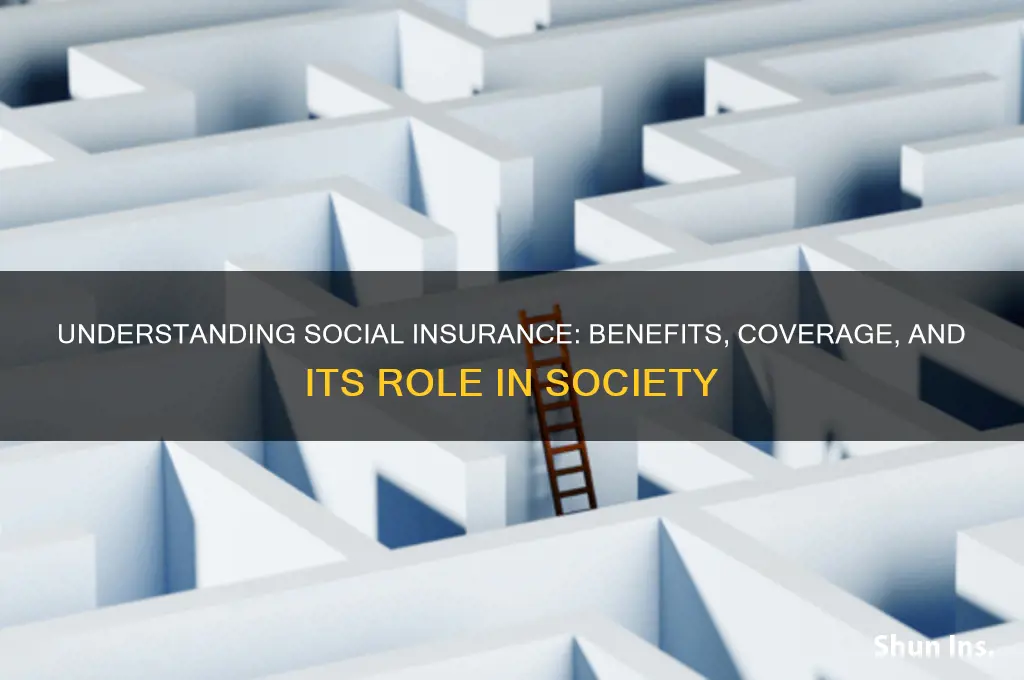 is a form of social insurance