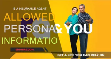 Insurance Agents: What Personal Data Can They Access?
