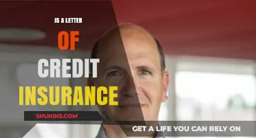 Understanding Letter of Credit Insurance: Benefits, Risks, and Coverage Explained