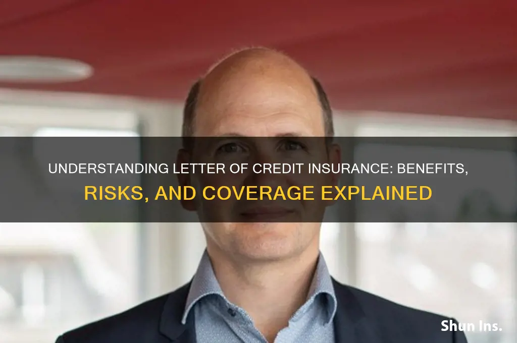 is a letter of credit insurance