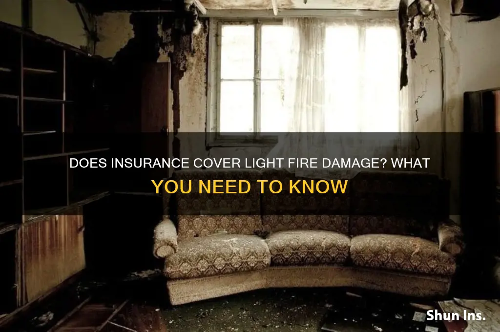 is a light fir sad civered by insurance