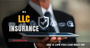 Understanding LLC Insurance: Essential Protection for Your Business Entity