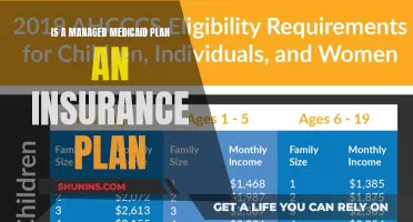Medicaid Managed Plans: Insurance or Something Else?