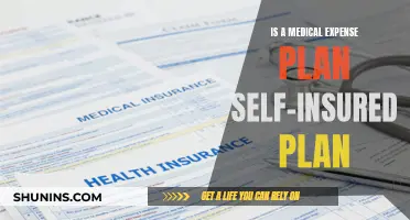 Medical Expense Plans: Self-Insured or Not?
