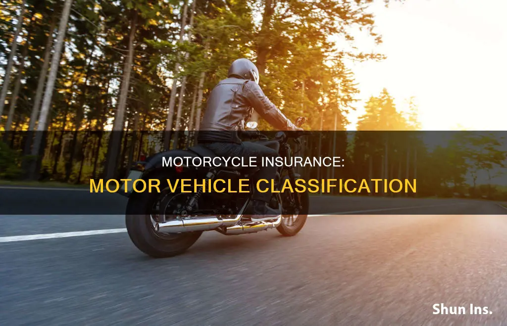 is a motorcycle considered a motor vehicle when billing insurance