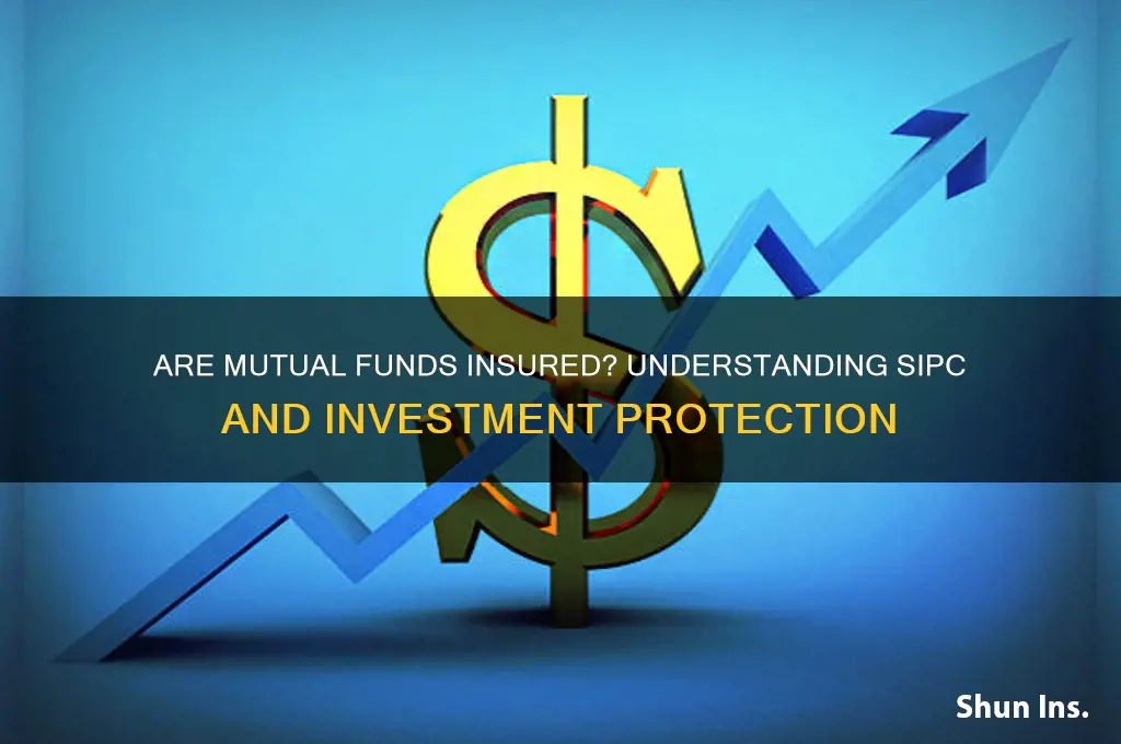 is a mutual fund insure