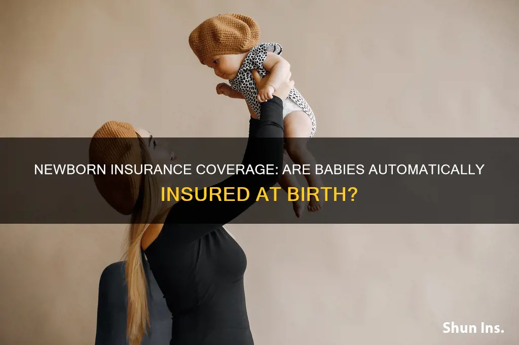 is a newborn baby insured