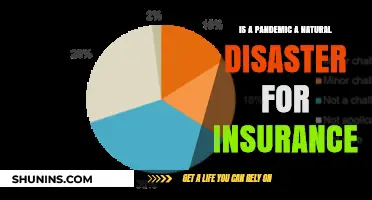 Pandemic vs. Natural Disaster: Insurance Coverage Clarified