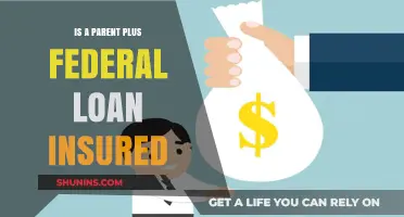 Federal Parent PLUS Loans: Are They Insured?