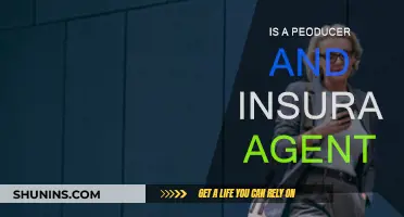 The Producer's Guide to Insurance: Protecting Your Craft
