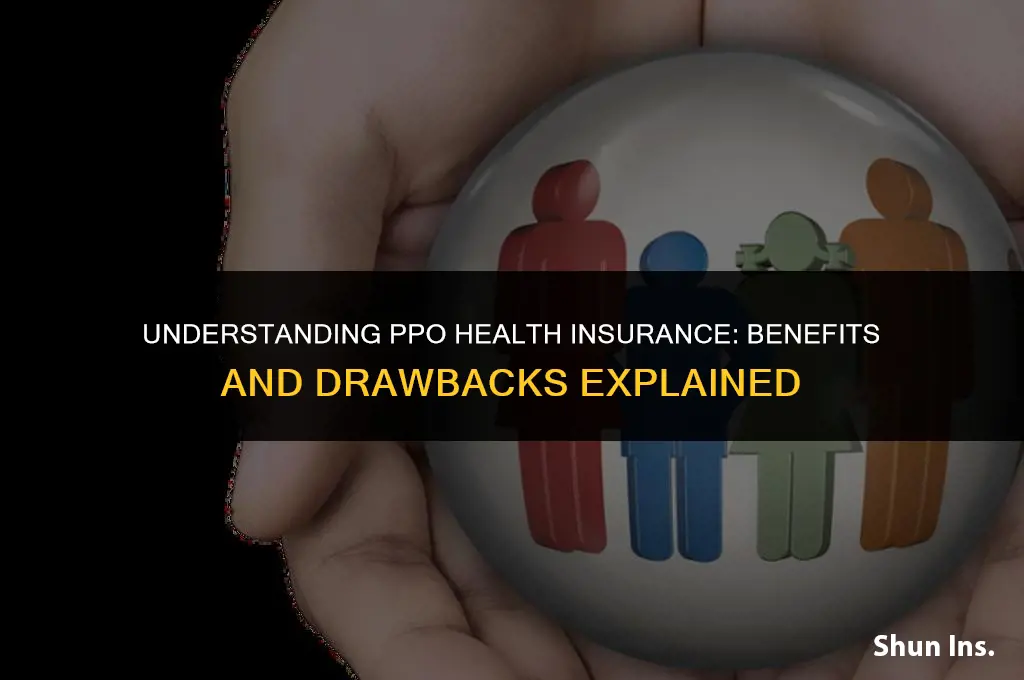 is a ppo health insurance