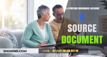 Prepaid Insurance Accounts: Source Documents or Not?