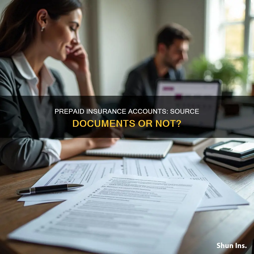 is a prepaid insurance account a source document