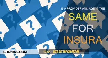 What's the Difference: Insurance Agents and Providers?