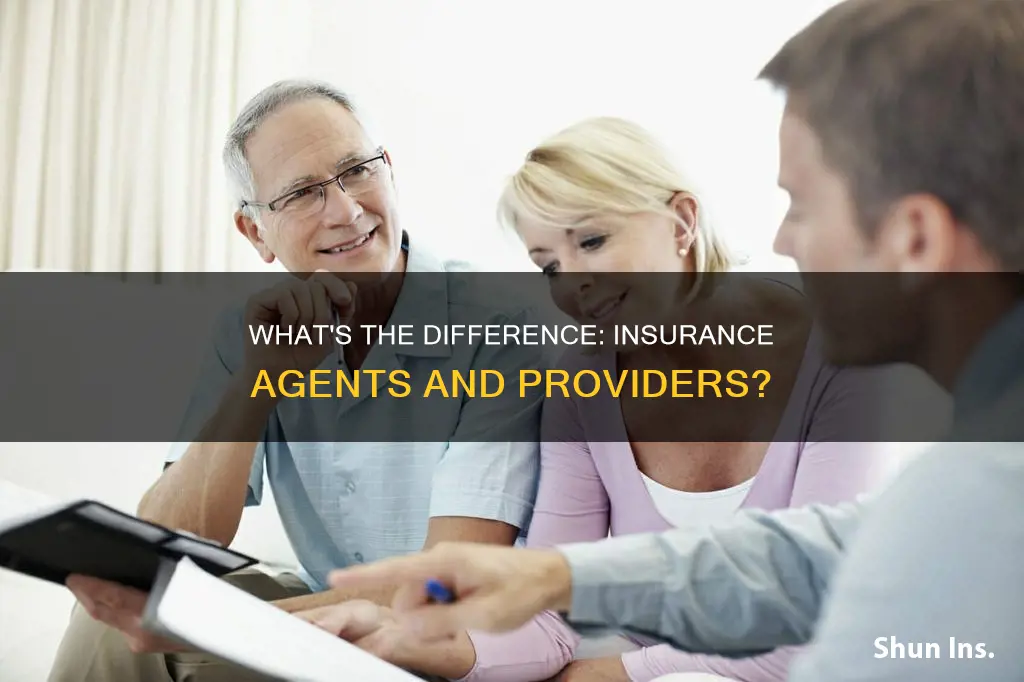 is a provider and agent the same for insurance