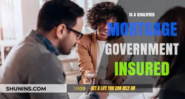Mortgage Insurance: What's the Government's Role?