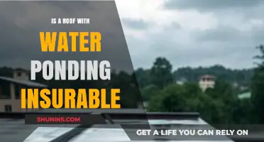 Is Ponding Water on Your Roof Covered by Insurance?