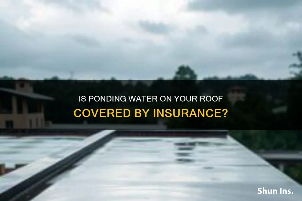 is a roof with water ponding insurable