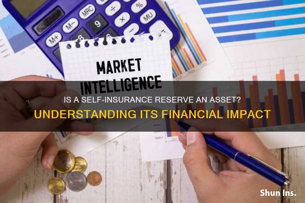 is a self insurance reserve an asset