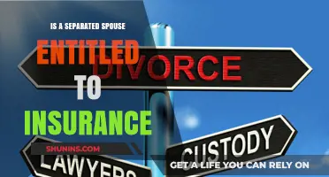 Separated Spouse Insurance Rights: Understanding Entitlements and Coverage Post-Separation