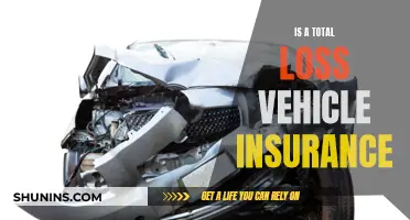 Total Loss Insurance: What's Covered?