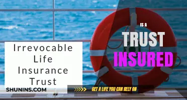 Is a Trust Insured? Understanding Protection and Risks for Your Assets