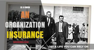 Understanding Unions: Are They a Form of Organizational Insurance?